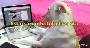 Um dia Especial