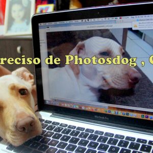 1-IMG_9702-001